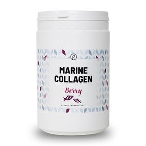 Plent Marine Collagen Berry - 300 g